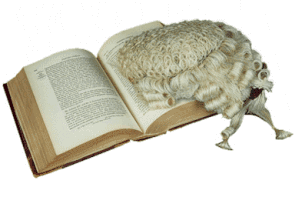 Les lectures de Miss-Terre